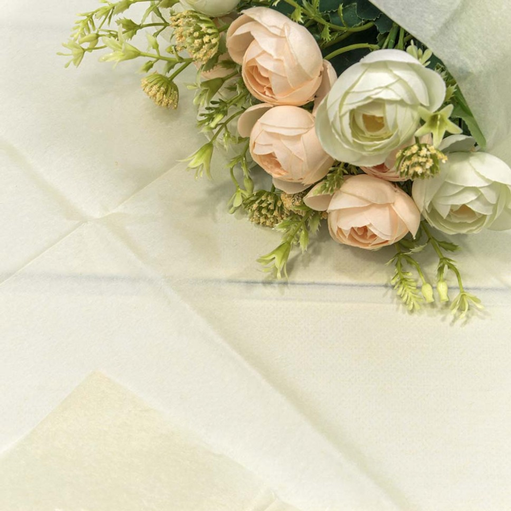 Бумага В листах 10 шт "Тишью" 50 х 66 см (Бежевый)