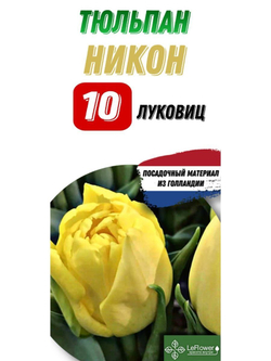 Тюльпан Луковица, Никон, 10шт