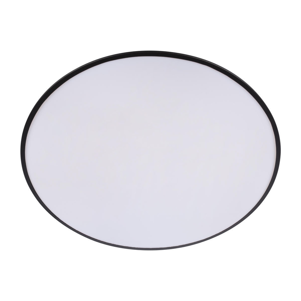 10226 Black Потолочный светильник LOFT IT Brim