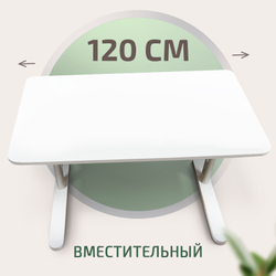 Растущая парта Ergokids Vegas