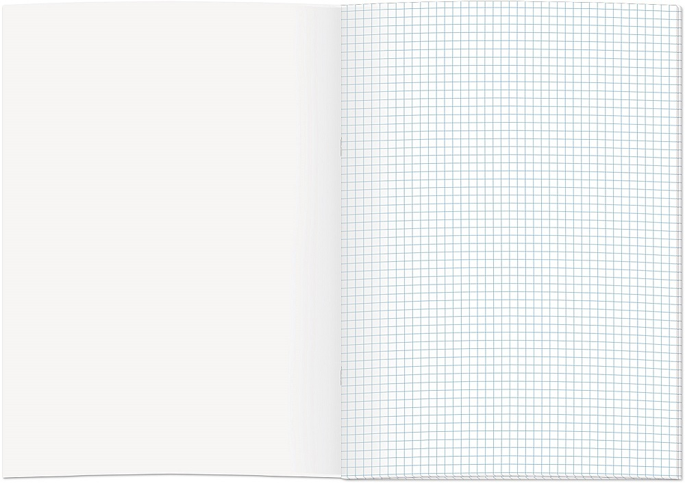 Книга учета ОФИСНАЯ 48 л. на скрепке (скобе) цветная обложка мелованный картон