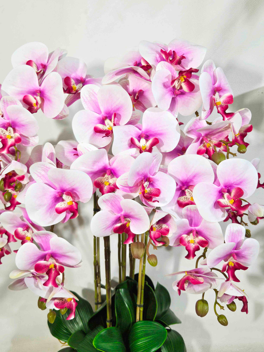 Орхидеи бело-лиловые 7 веток 65 см в широком кашпо