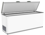 Морозильный ларь FROSTOR F 800 S