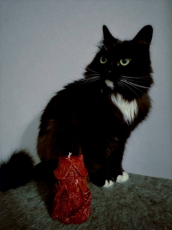 ДОМИК — 50° Luna свечи для waxplay