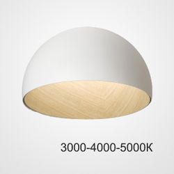 Потолочный светильник BARA B D50 White Трехцветный свет