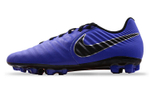 Кроссовки Nike Legend7Ag-R