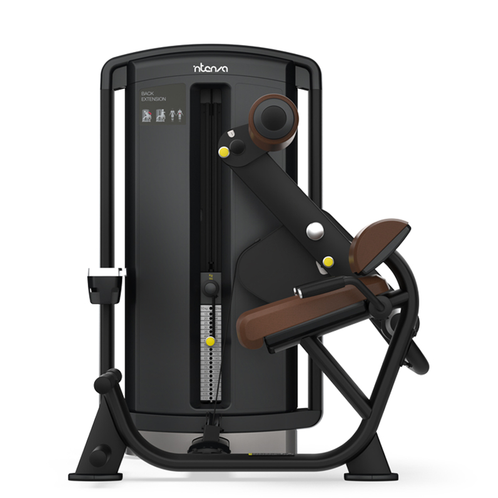 Разгибание спины INTENZA DEZIGN DL-05