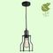 Подвесной светильник Lussole Loft Baldwin GRLSP-9610