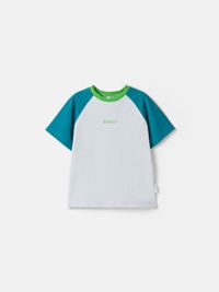 предметное