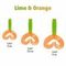 Твистер Helios Credo Double Tail 3,54"/9 см Lime & Orange 5шт. (HS-28-020)