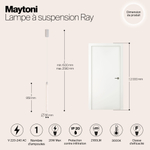 Подвесной светодиодный светильник Maytoni Ray P022PL-L20W3K