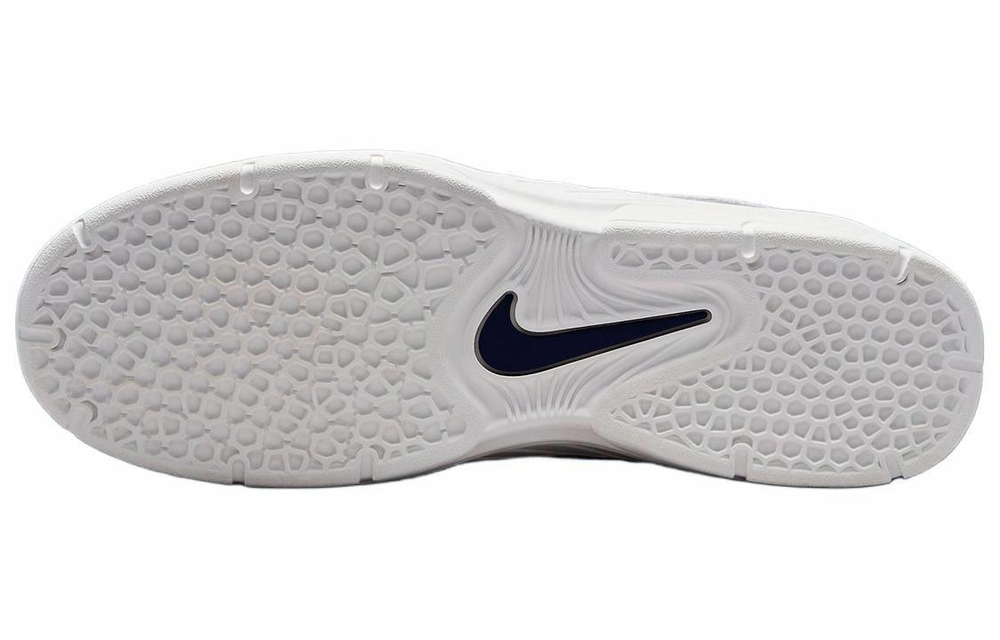 Кроссовки Nike Sb Vertebrae