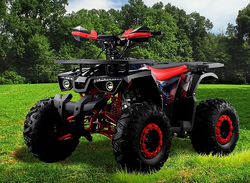 Квадроцикл PROMAX WILD 190 PRO-LINE