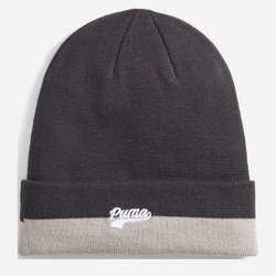 Шапка PUMA Script Logo Beanie, 02482701, серо-молочный