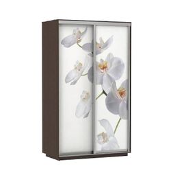 Шкаф-купе "Экспресс Фото Хит" (венге/орхидея белая) 2200х1200х600, МК Е1, г. Белореченск