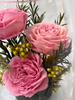 натуральные пионы в стекле, вакуум*