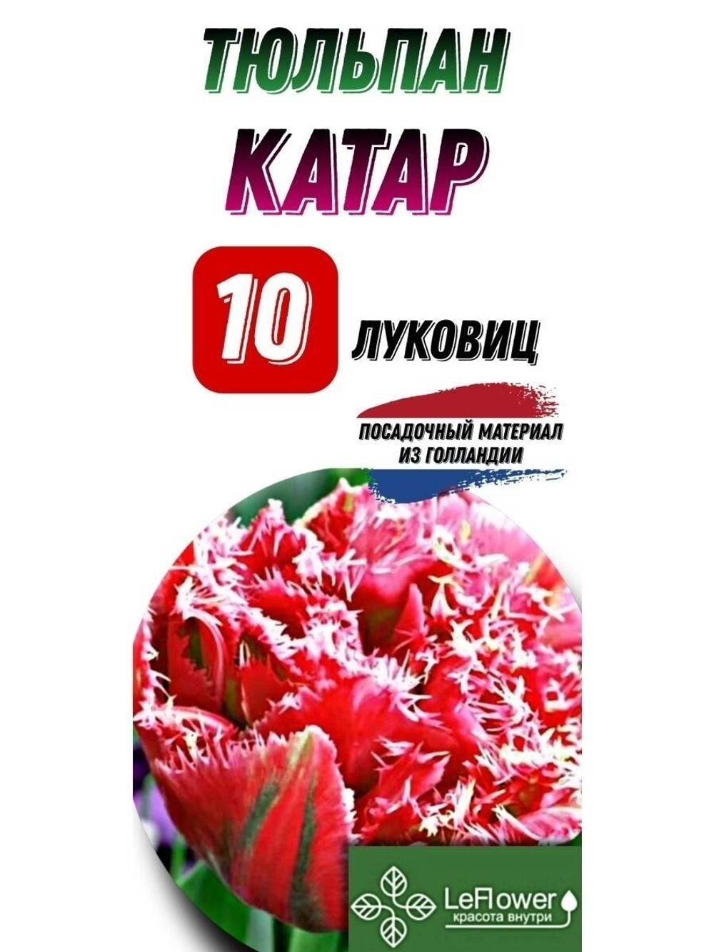 Тюльпан Луковица, Катар, 10шт