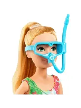 Набор Барби Стейси с питомцем и аксессуарами GRT89