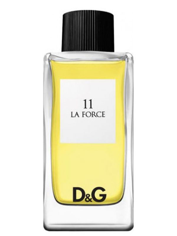 Dolce and Gabbana D and G Anthology La Force 11