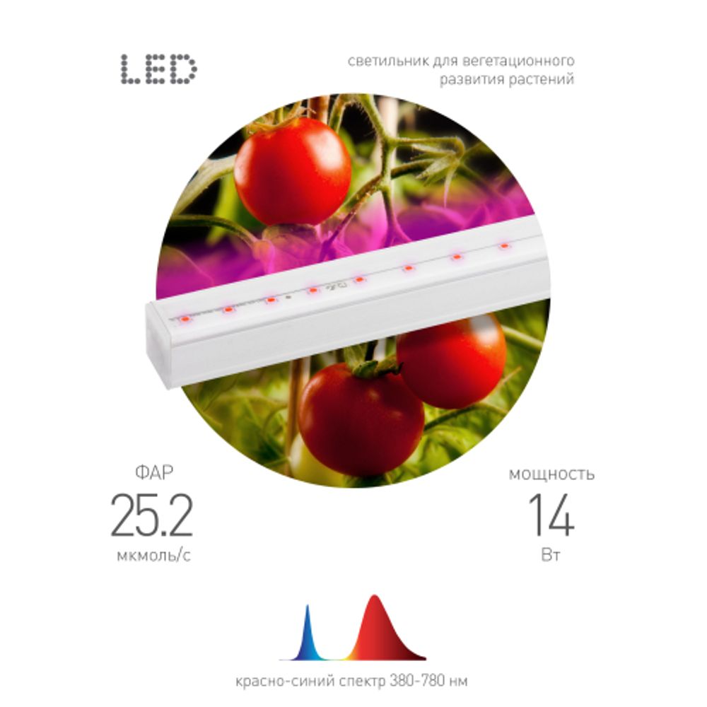 Светильник для растений, фитолампа светодиодная линейная ЭРА FITO-14W-Т5-N красно-синего спектра 14 Вт Т5 | Линейные фито светильники