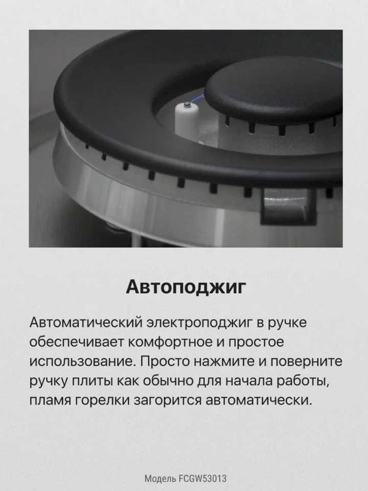 Газовая плита Hansa FCGW53013