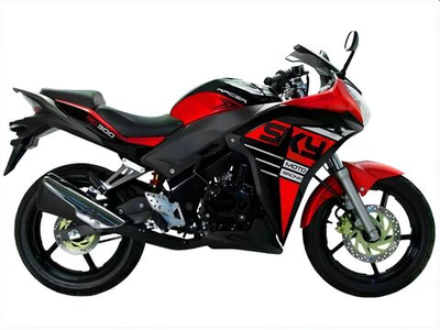 Мотоцикл RACER Skyway RC300CS ENDURO