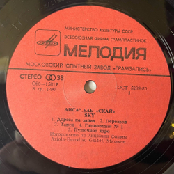 Винтажная виниловая пластинка LP Скай Sky (СССР 1990)