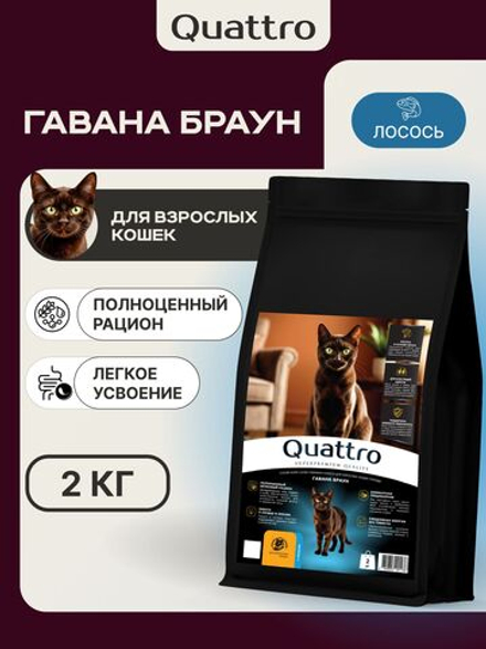 Корм сухой для взрослых кошек породы Гавана Браун, с лососем, 2 кг, QUATTRO