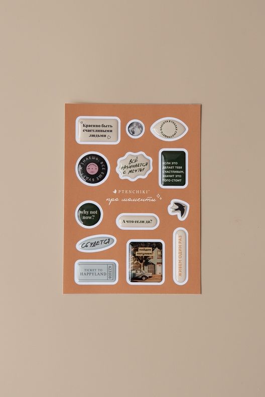 Стикерпак Про Моменты / Ptenchiki
