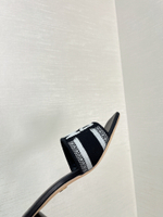 Christian Dior Dway Slide (11 colors)
