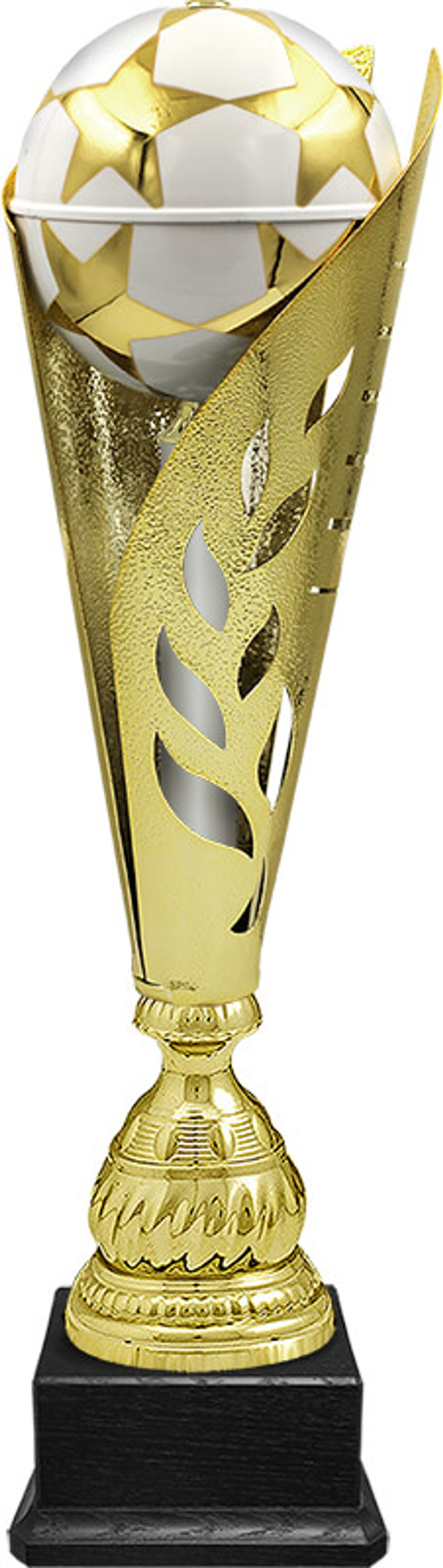 Кубок Сокол