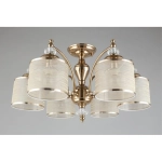 Потолочная люстра Aployt AGATA APL.720.07.06