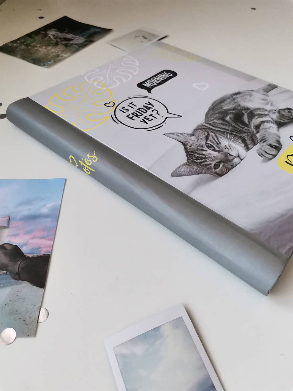 Фотоальбом на 10 магнитных листов 23х28 см, внутр. спираль fluffy pets Муррр