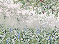 Коллекция FOREST