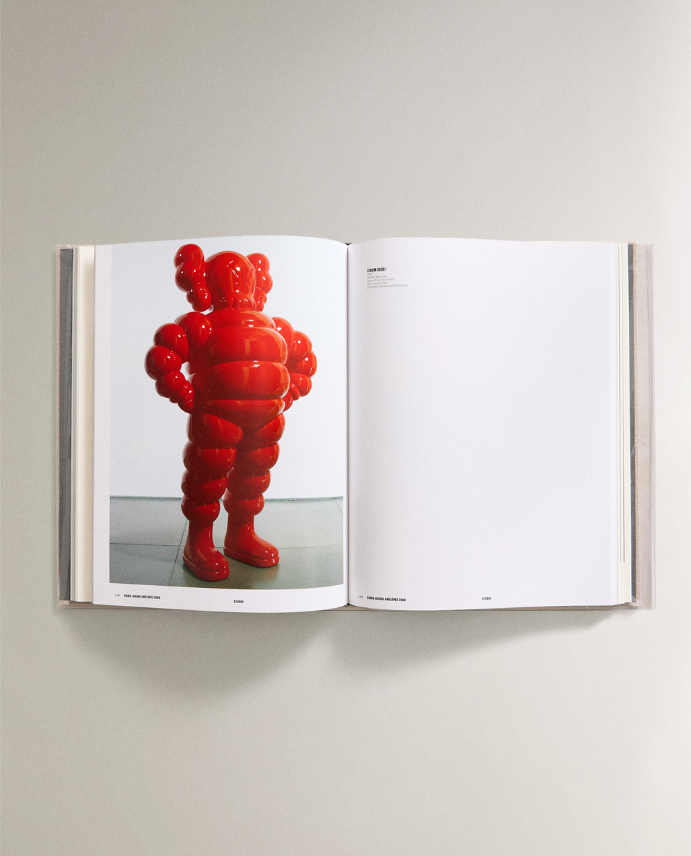 KAWS. Монография современного художника (на английском языке)