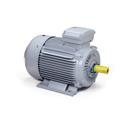 Электродвигатель ESQ PR 200 L4-SDN-Б1-S12-IE3 30/1500 IMB3