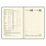 Ежедневник датированный 2025, А5, 138x213 мм, BRAUBERG "Iguana", под кожу, черный, 115779