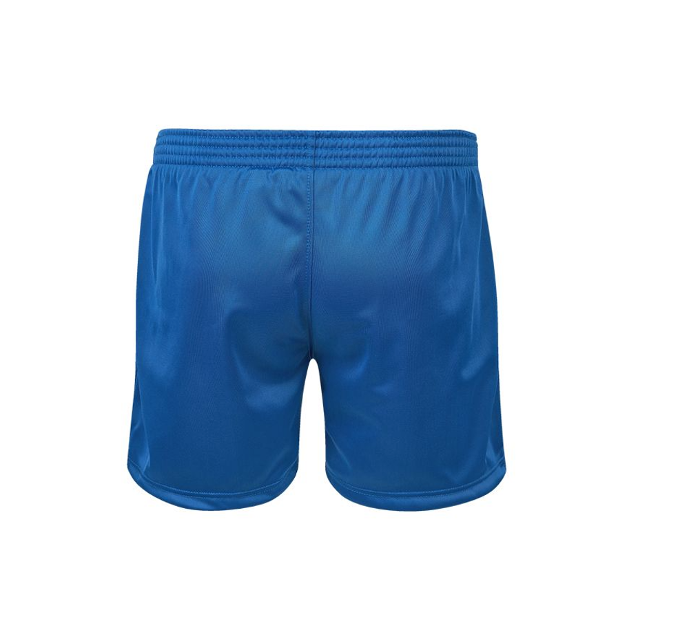 SSS-2008FIAS Шорты САМБО Мастер FIAS Approved синие