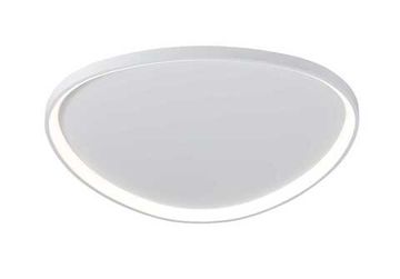 2550/850 WHITE (1) Потолочный светильник (RL)