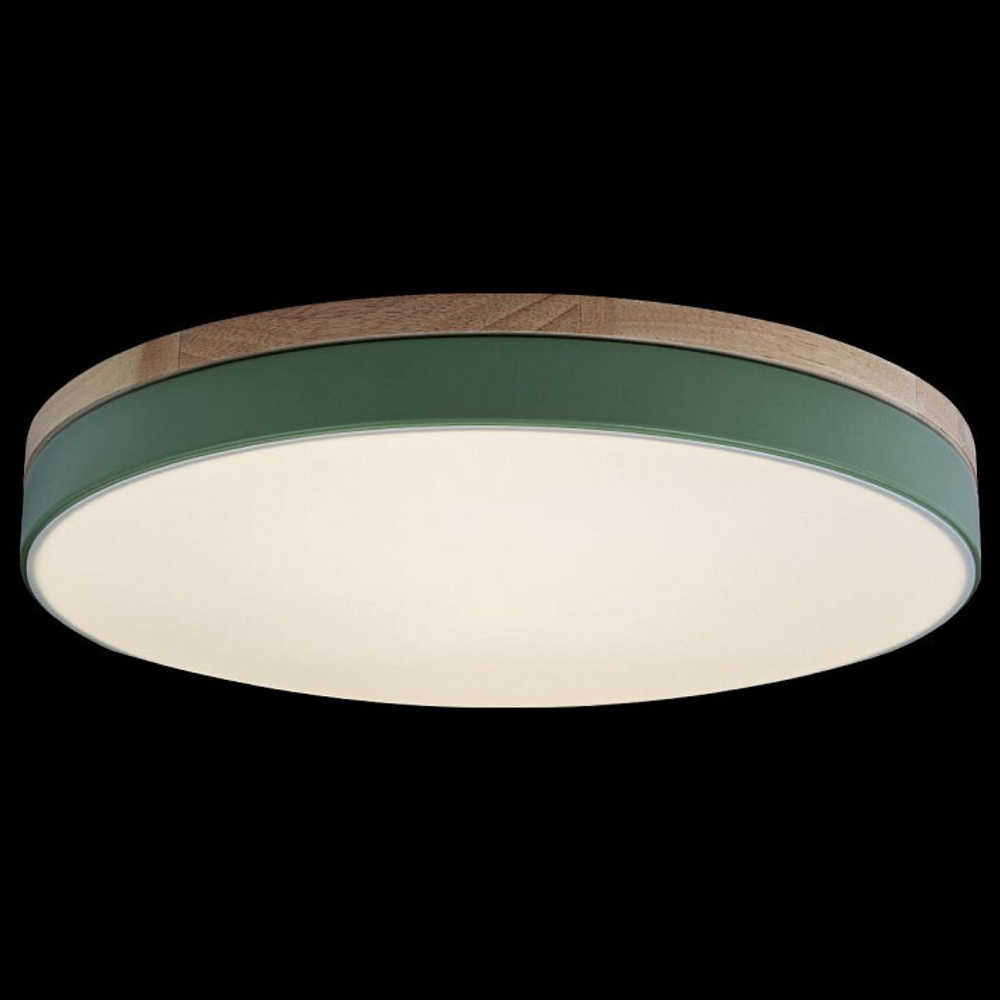 Накладной светильник Loft it Axel 10001/36 Green