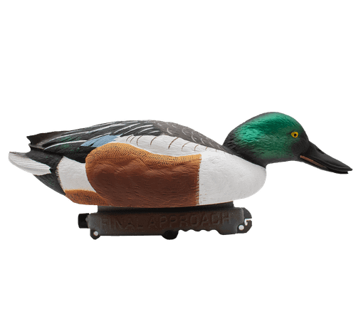 Широконос "FA-212530 LIVE NORTHERN SHOVELER SPOONBILL" FA 6 шт.