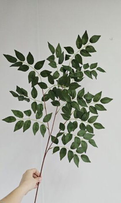 Ветка иглицы / Арт 1242