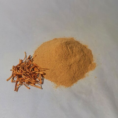 Кордицепс молотый