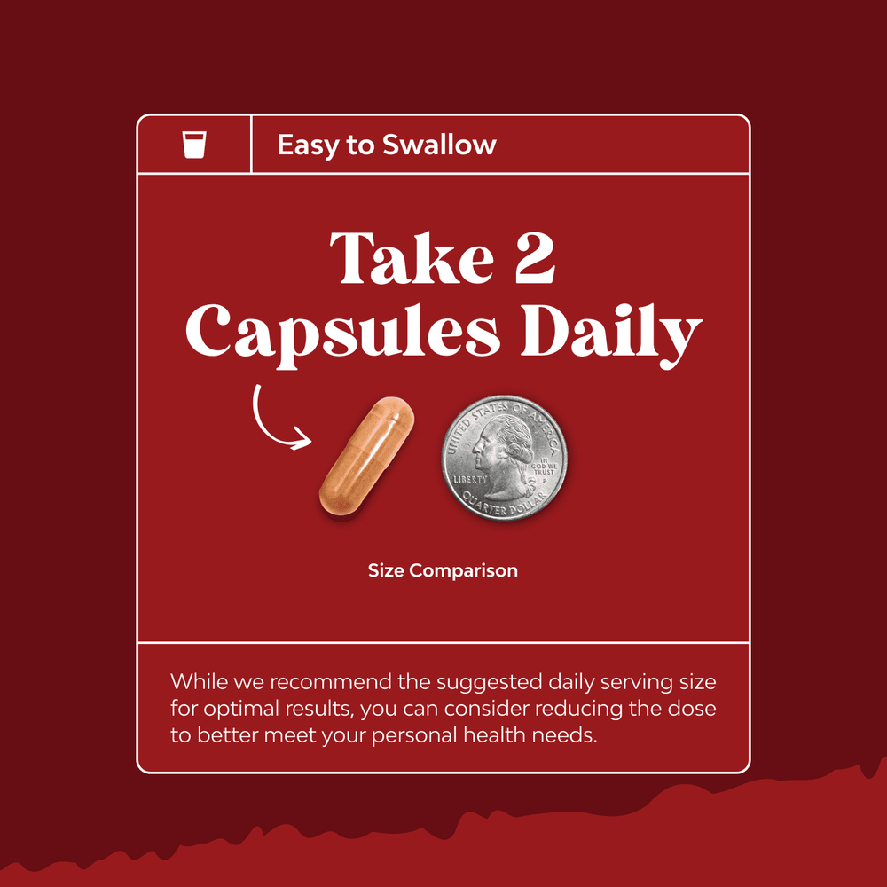 Nature's Craft, красный дрожжевой рис с коэнзимом Q10, 120 капсул