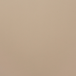 Искусственная кожа Grifon (Грифон) 04