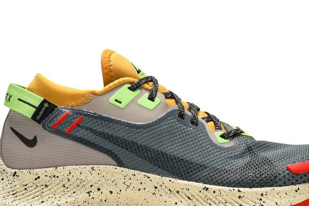 Кроссовки Nike Pegasus Trail 2 Gore-Tex