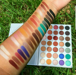 Morphe x Jaclyn Hill palette