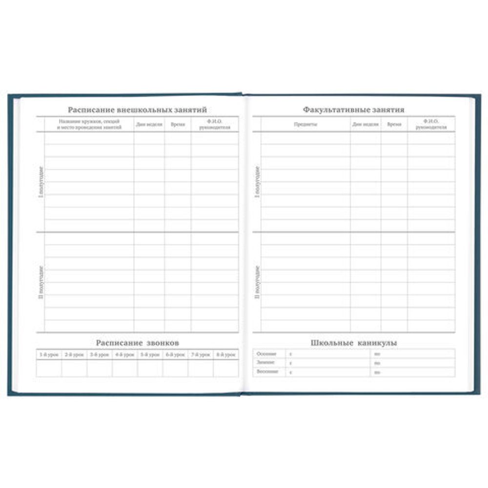 Дневник 5-11 класс 48 л., твердый, BRAUBERG, выборочный лак, с подсказом, "Stylish", 106409