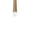 Подвесной светодиодный светильник Loft IT Reed 10358/830 AB
