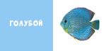 Мои первые слова. Фото-книга. Цвета МИНИ (нов.)